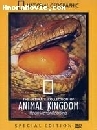 ��ä�� Animal Kingdom ����ش�����ä���ѵ���˴ 3 DVD