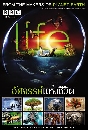 ��ä�� Life ��Ȩ������觪��Ե 4 DVD