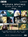 ��ä�� Wildlife Special ��ͧ���Ե�ѵ���š�Ҥ����� 3 DVD