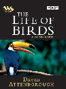 ��ä�� The Life of Birds 3 DVD