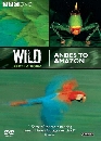 ��ä�� Wild South America 2 DVD