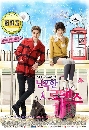 ����������� Wild Romance ��¹ѡ�Ǵ �� �ʹ��Ǵ��� 4 DVD ��������