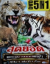 ��ä�� �Ǻ����ش�ʹ 2 DVD