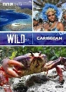 ��ä�� Wild Caribbean 1 DVD