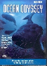 ��ä�� Ocean Odyssey �ѵ���š�����֡ 1 DVD