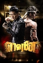 �Ф��� �Ҵ��͡ (����� ��оѲ��+ͤ�������� ����ó�آ) 4 DVD