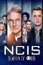 ��������� NCIS Season 17 : Naval Criminal Investigative service 4 DVD �ҡ����