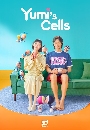 ����������� Yumi�s Cells (2021) 4 DVD ��������