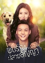 ������չ A Date With the Future ���ѡ�������ѭ�� (2023) 6 DVD ��������