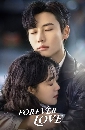 ������չ Forever Love (2023) �ѡ�����¢ͧ��ºʹ����� 4 DVD ��������