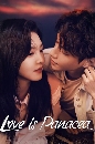 ������չ Love is Panacea (2023) ����ѡ������ҡѹ 5 DVD ��������