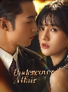 ������չ Undercover Affair (2024) �ѡ���������������͹ 3 DVD ��������