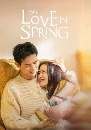 ������չ Will Love In Spring (2024) ��ѹ����ѡ��Ժҹ 4 DVD ��������