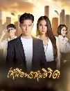 �Ф��� �˹�;����ԢԵ Twisted Destinies (2025) 4 DVD