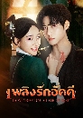 ������չ Love Beyond The Curse (2025) ��ԧ�ѡ�Ѥ�� 3 DVD ��������