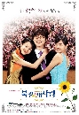 ����������� Beijing My Love �ҡ�ѡ�����ѡ��� 4 DVD �ҡ����