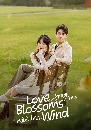 ������չ Love Blossoms with the Wind (2025) 3 DVD ��������