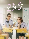 �Ф��� 23.5 ͧ�ҷ���š���§ 3 DVD