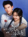 ������չ Love Story in the 1970s (2026) ��觾��ѡ�ѡ�ԧ�ѹ 5 DVD ��������