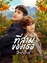 �Ф��� �������ͧ�� Your Third (2026) 3 DVD
